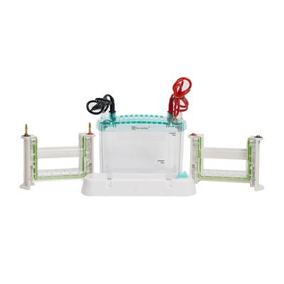 4-Gel-Vertikalelektrophoresesystem