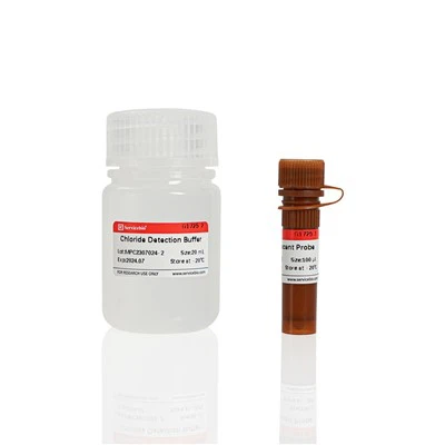 MQAE Fluoreszierendes Chlorid-Lon-Detektionskit
