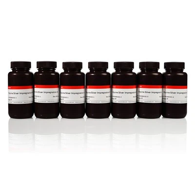 Silber-Glycin-Färbeset